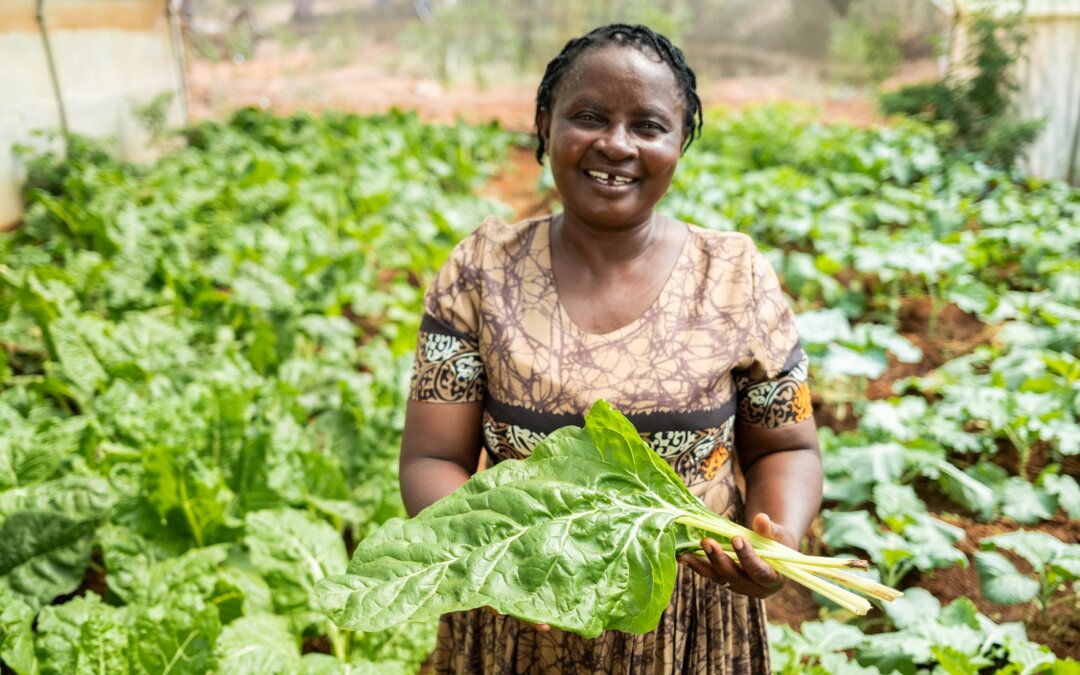 Bill and Melinda Gates Foundation Impact on Global Health and Education